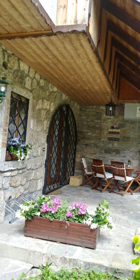 La Finestra Sulla Contea Villa Ovaro Exterior foto